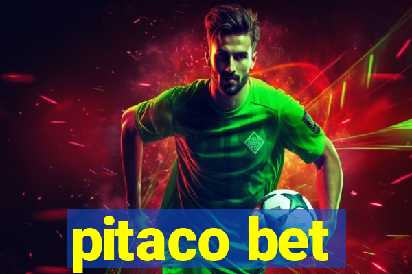 pitaco bet